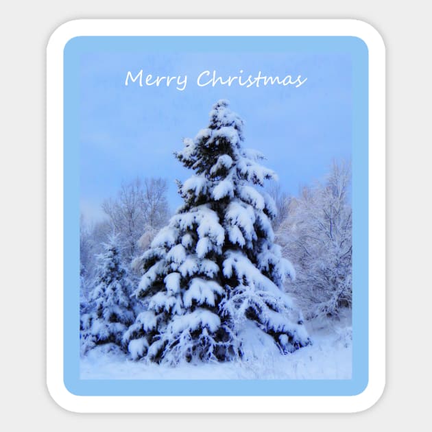 WINTER Wonderland In Nova Scotia Sticker by SartorisArt1